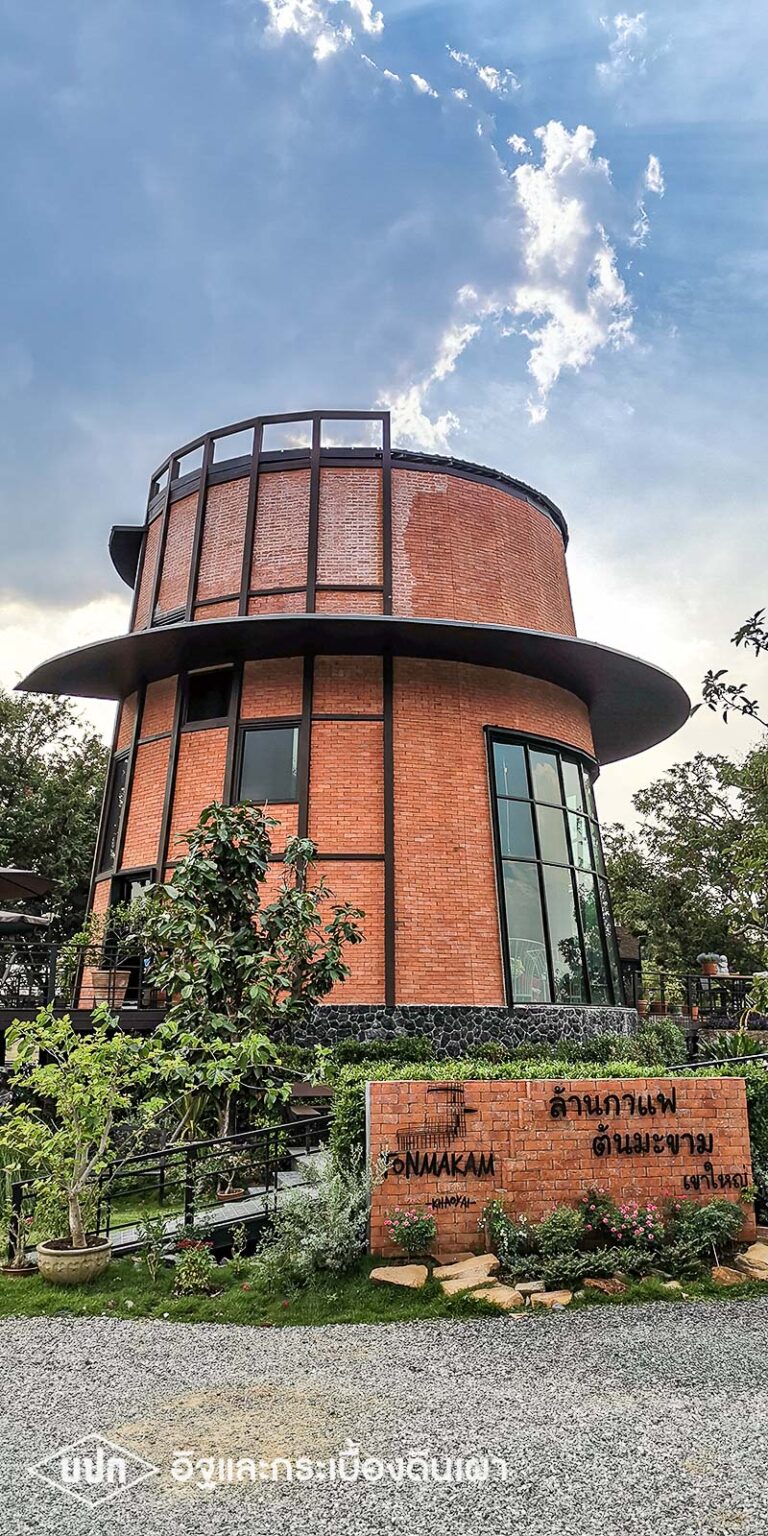 ล้านกาแฟ ต้นมะขาม เขาใหญ่